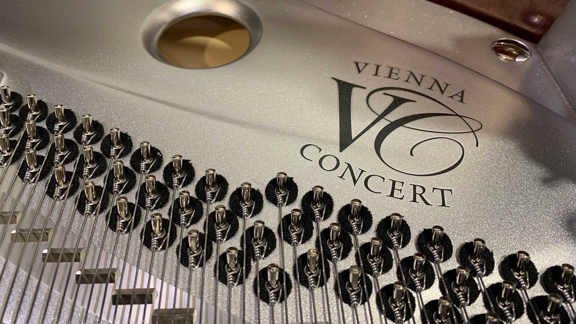 Bosendorfer piano Beethoven 250th grand piano