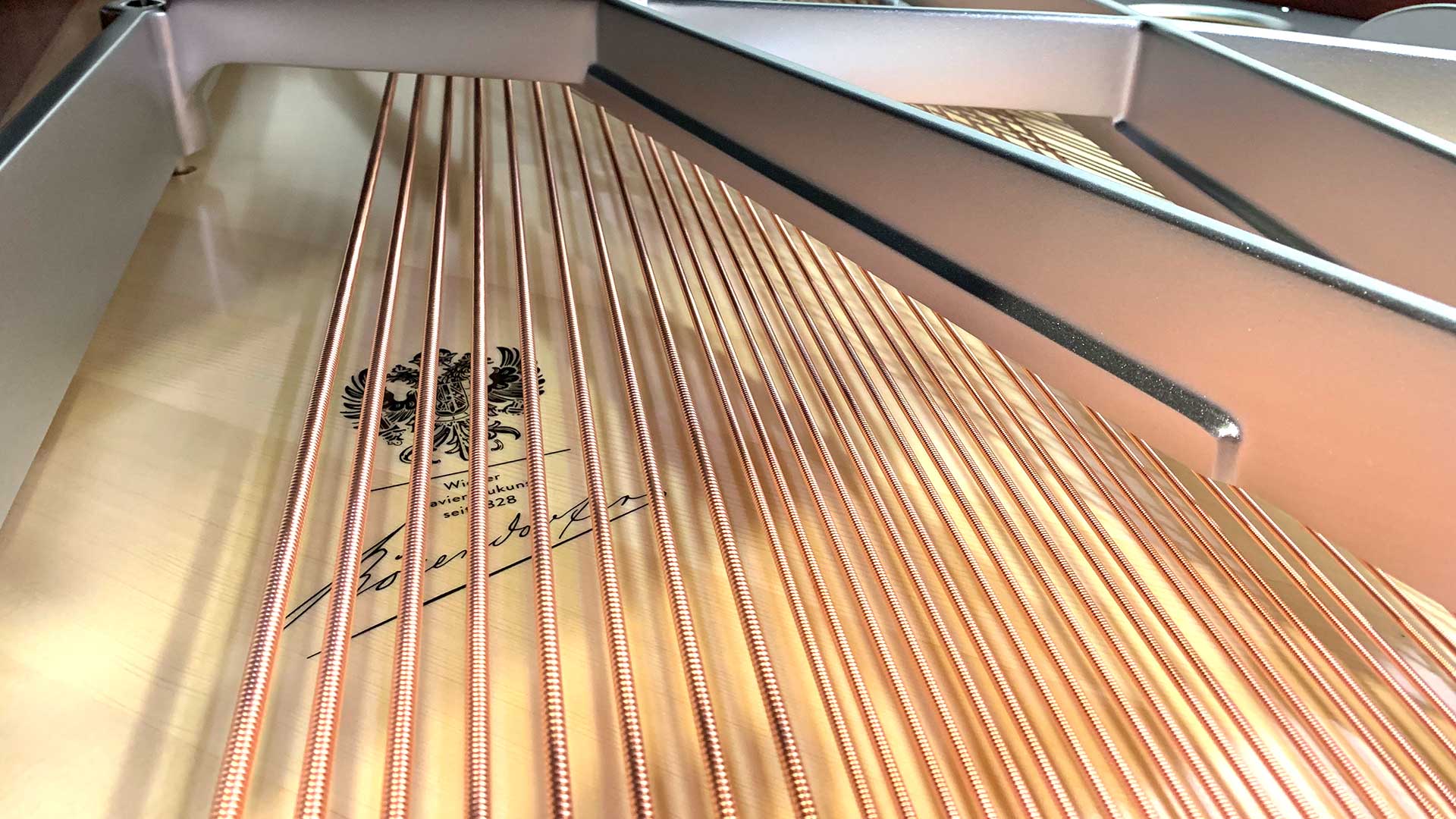 Bosendorfer piano Beethoven 250th grand piano