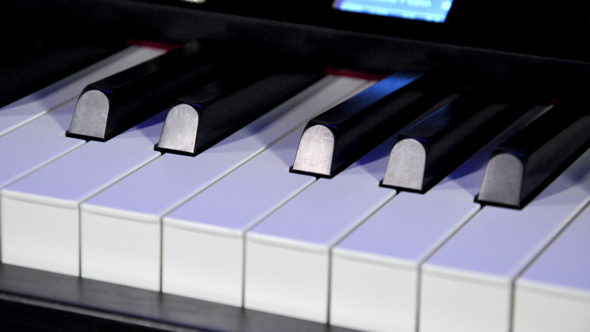 Roland digital piano lx-5